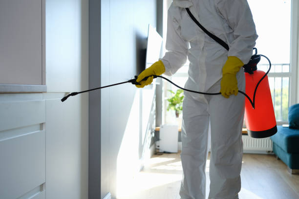 Professional Mold Removal in North Massapequa, NY
