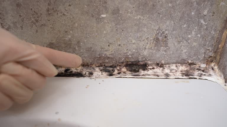 Best HVAC Mold Inspection and Cleaning  in North Massapequa, NY